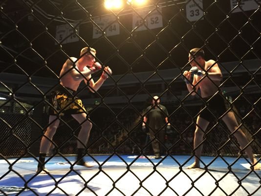 Dead Honor Manga - Living in a caravan park and trying to live my dream. 8 A view from outside a chain-link octagon cage showing two MMA fighters in fighting stances facing each other. Both are shirtless and wearing gloves and shorts. A referee stands in the background between them, under bright overhead lights.